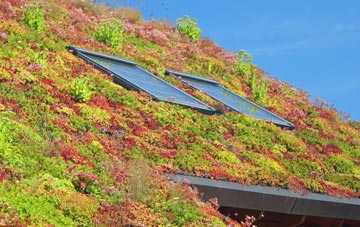 Long Green living roof systems